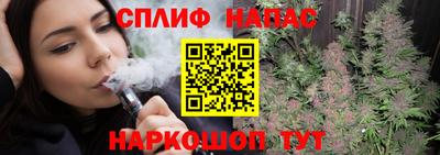 МДПВ Брянск