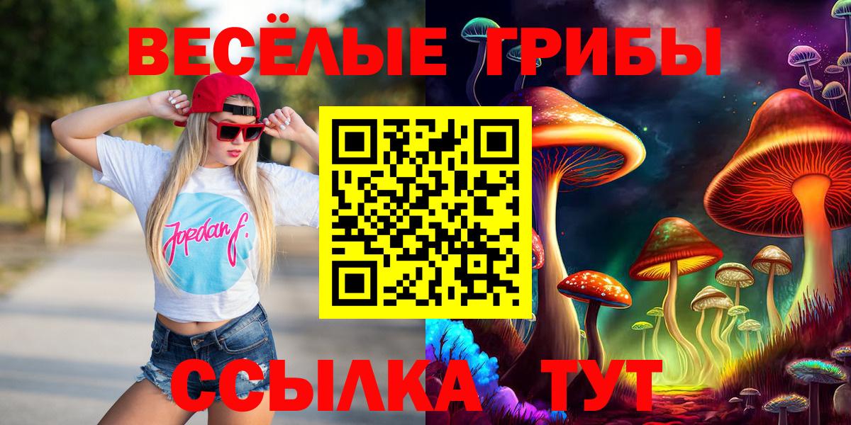 Карталы  Галлюциногенные грибы прущие грибы  Вход с VPN 